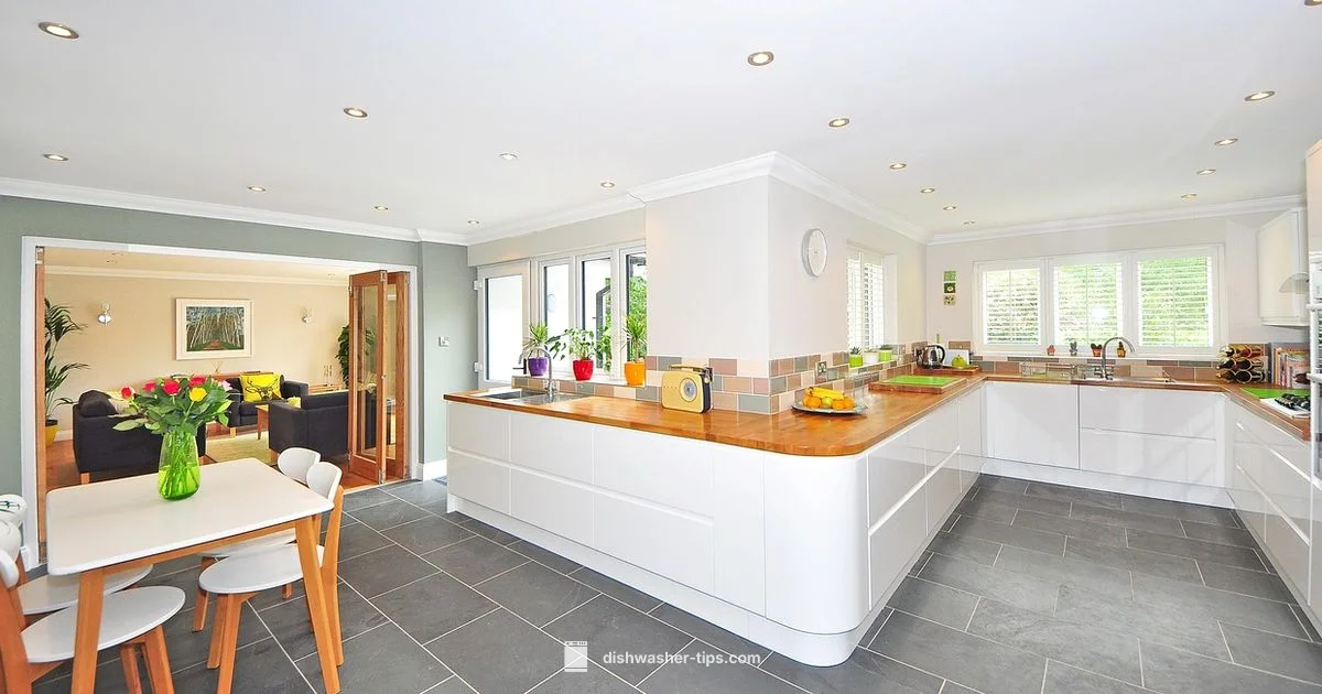 Top Brand Picks - Dishwasher Tips