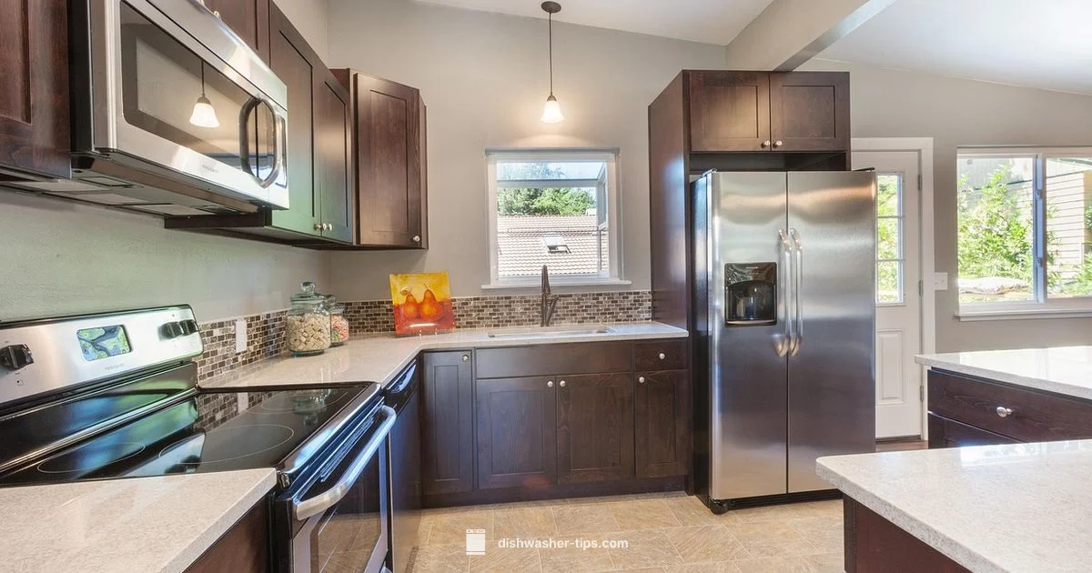 Dishwasher Sanitation - Dishwasher Tips