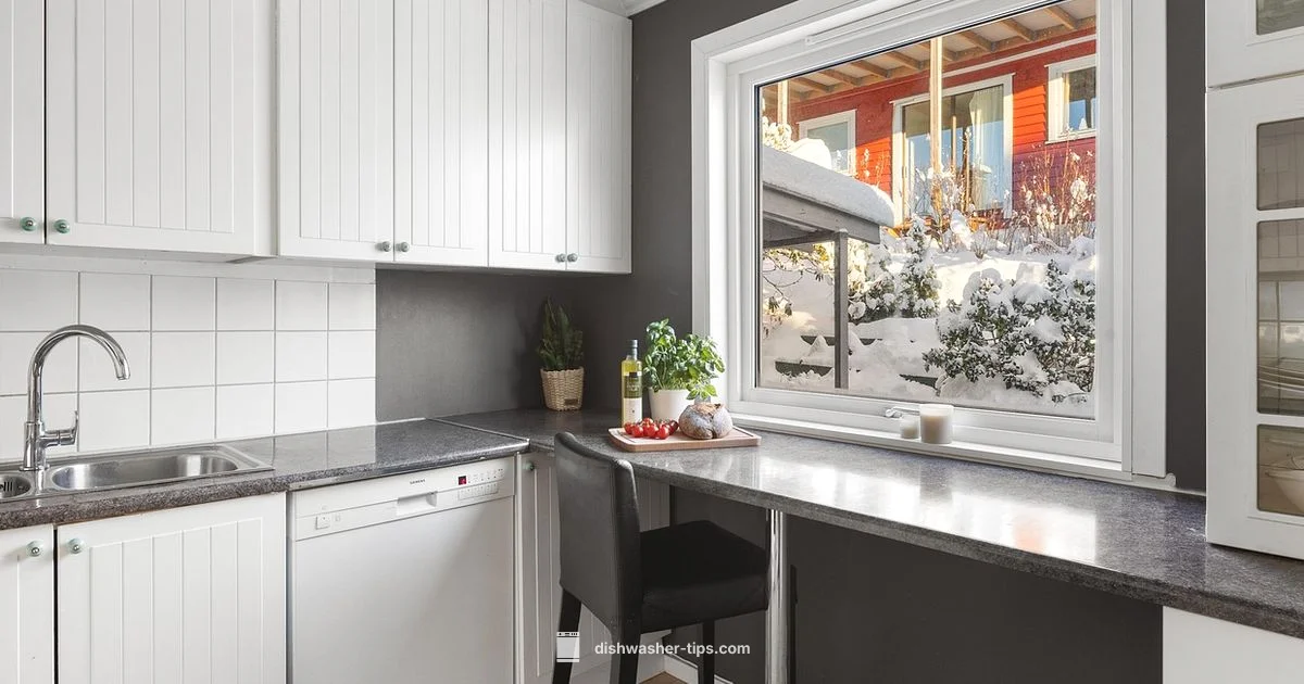 Bosch 300 Series Review - Dishwasher Tips