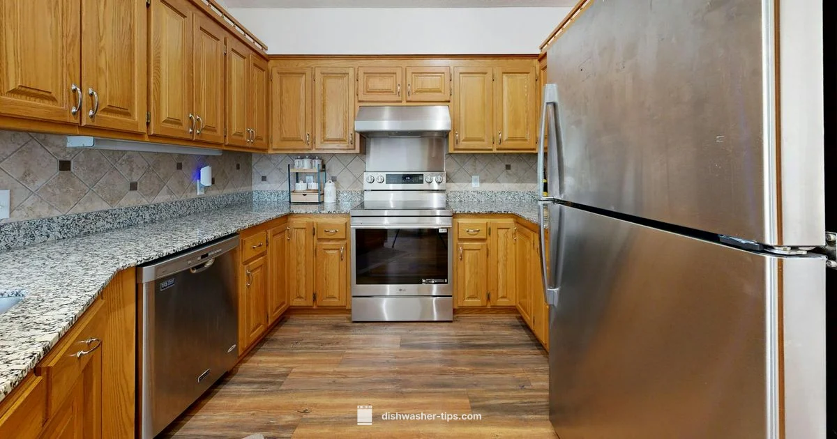 Miele Dishwasher Guide - Dishwasher Tips