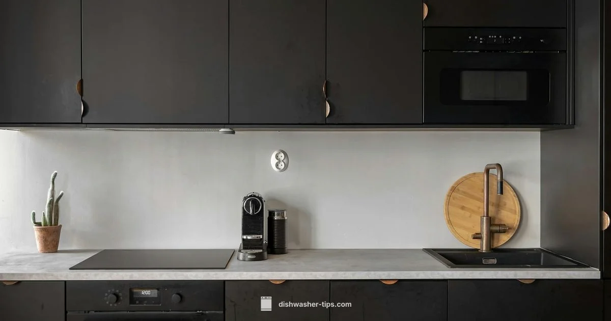 Whirlpool Black Finish - Dishwasher Tips