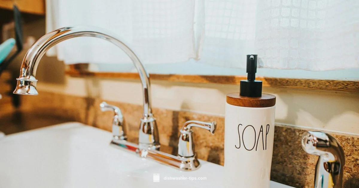 Eco Dishwasher Soap - Dishwasher Tips