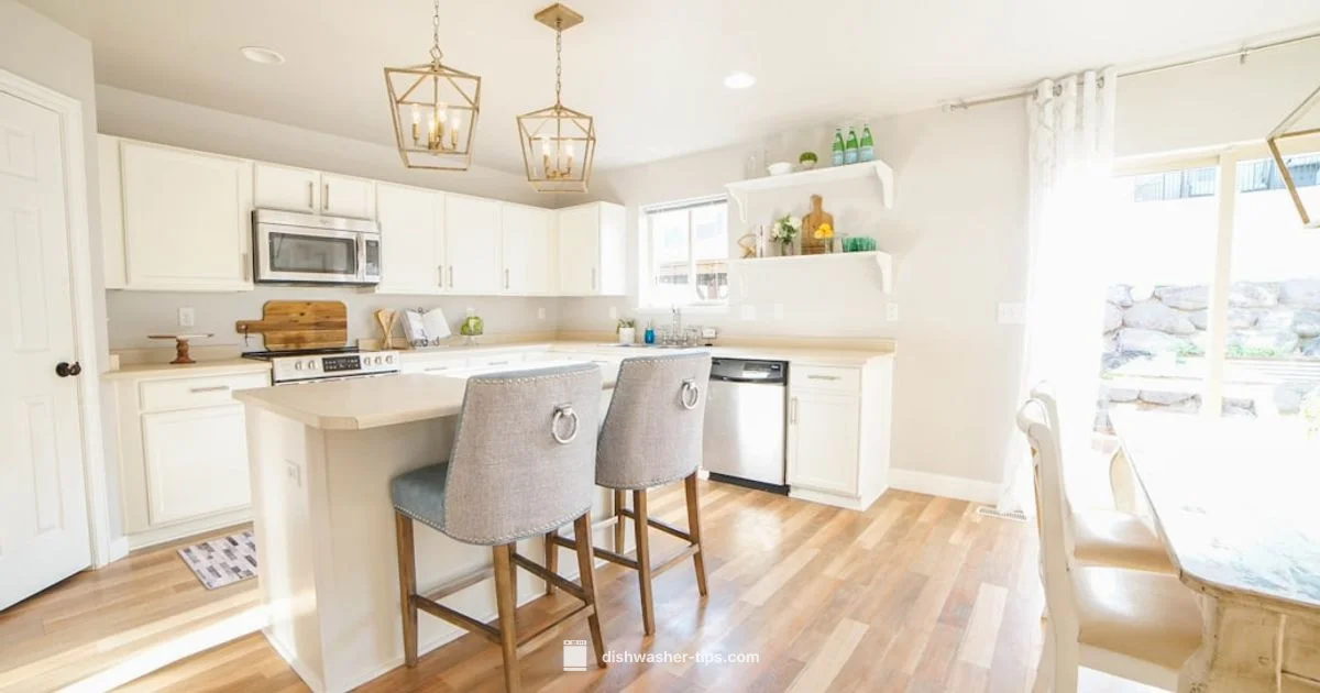 Adora Dishwasher Overview - Dishwasher Tips