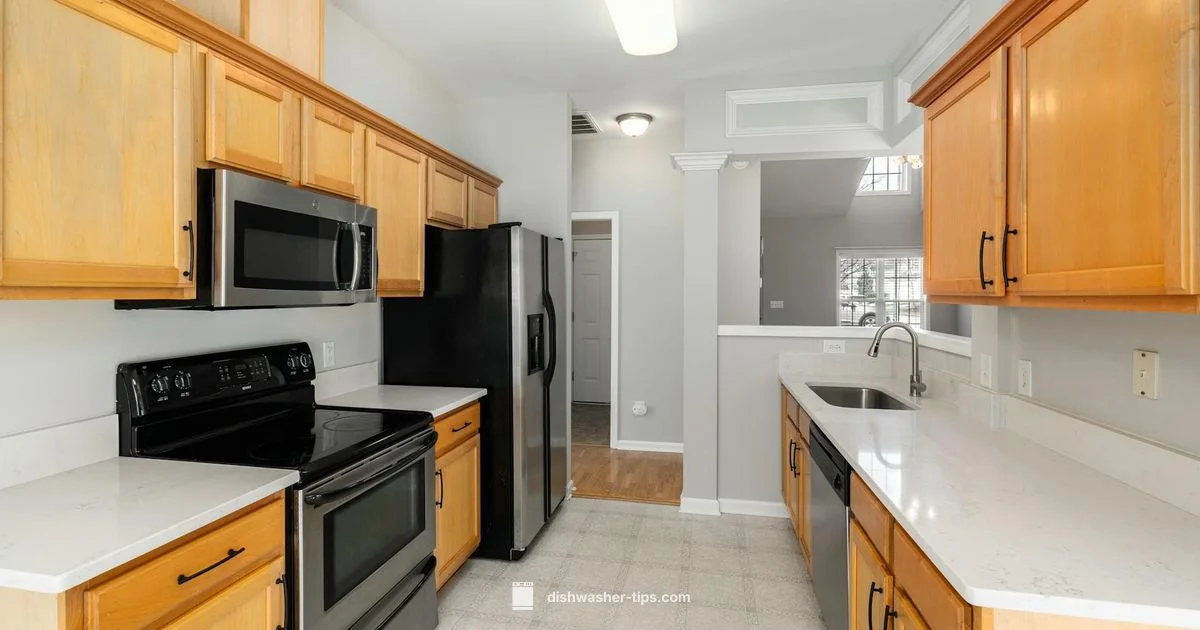 Pod Latch Fix - Dishwasher Tips