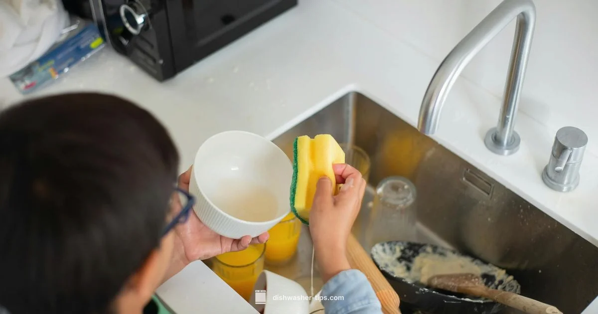 Sink Clog Fix - Dishwasher Tips
