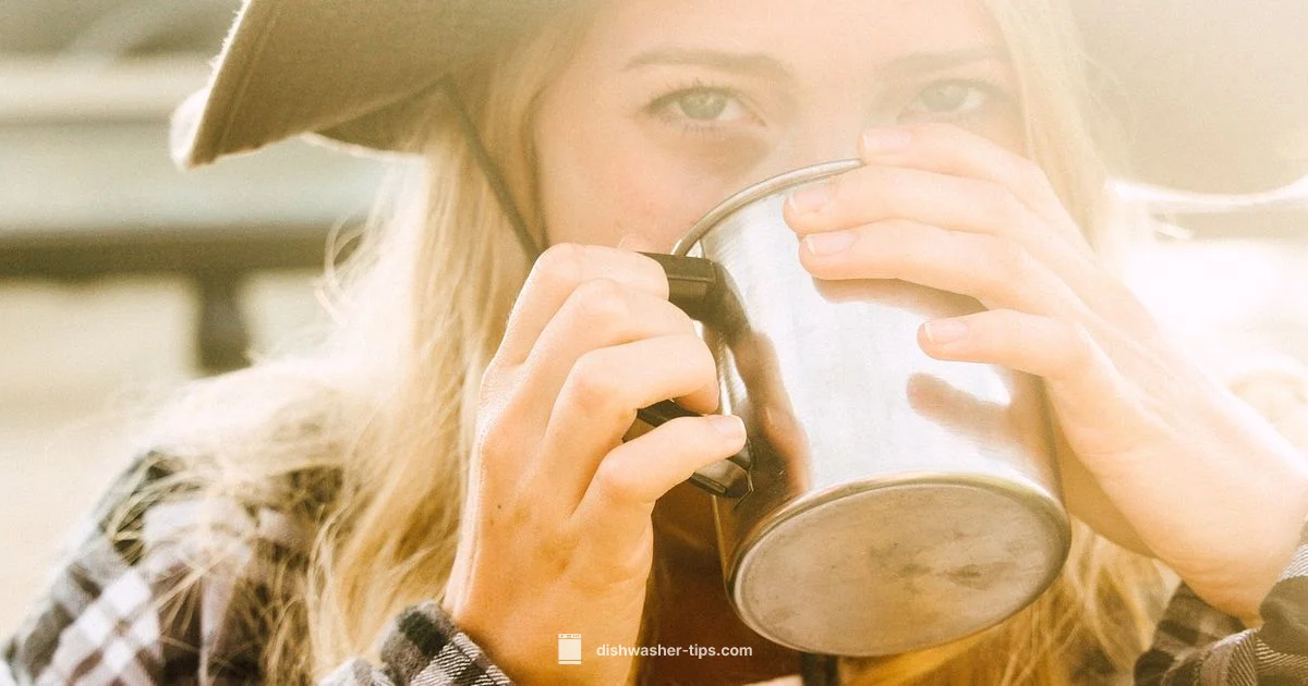 Dishwasher Safe Pans - Dishwasher Tips