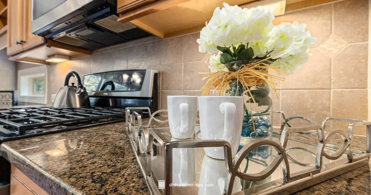 Top Table Dishwashers - Dishwasher Tips
