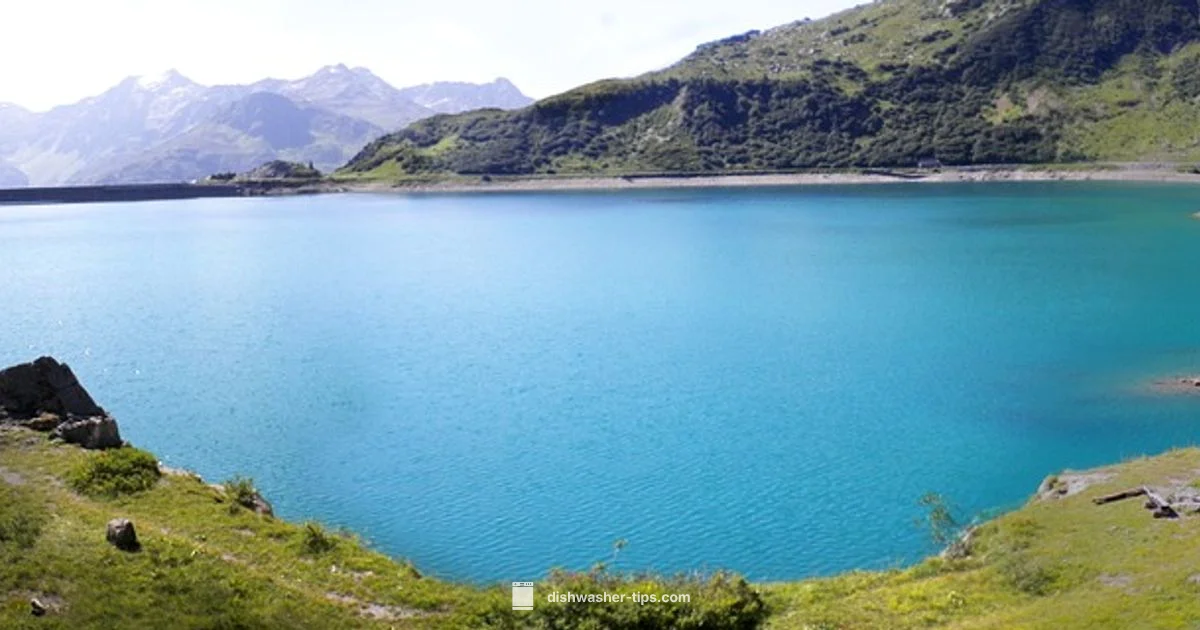 Drying Troubles - Dishwasher Tips