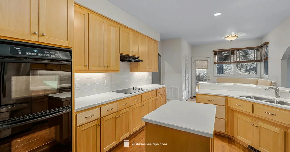 Double Drawer Guide - Dishwasher Tips