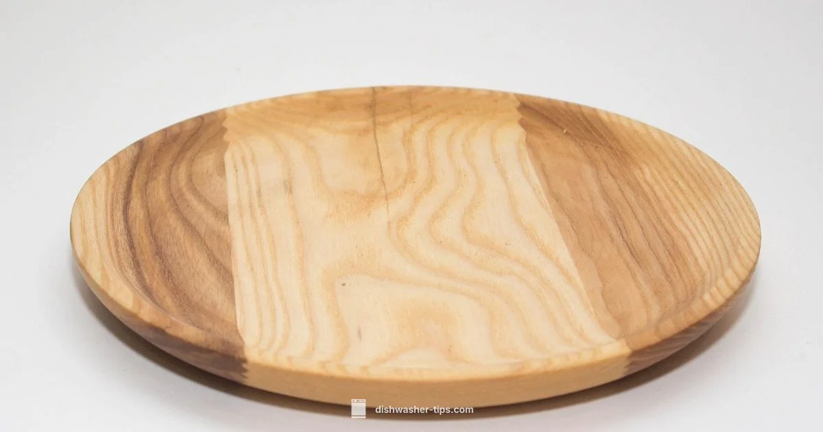 Dishwasher vs Person - Dishwasher Tips