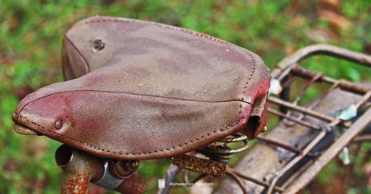 Rusted Rack Fix - Dishwasher Tips