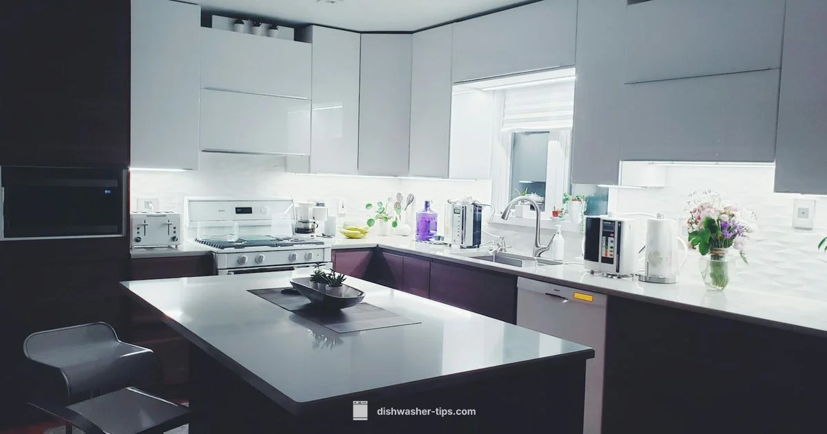 Bosch Drawer Dishwasher - Dishwasher Tips