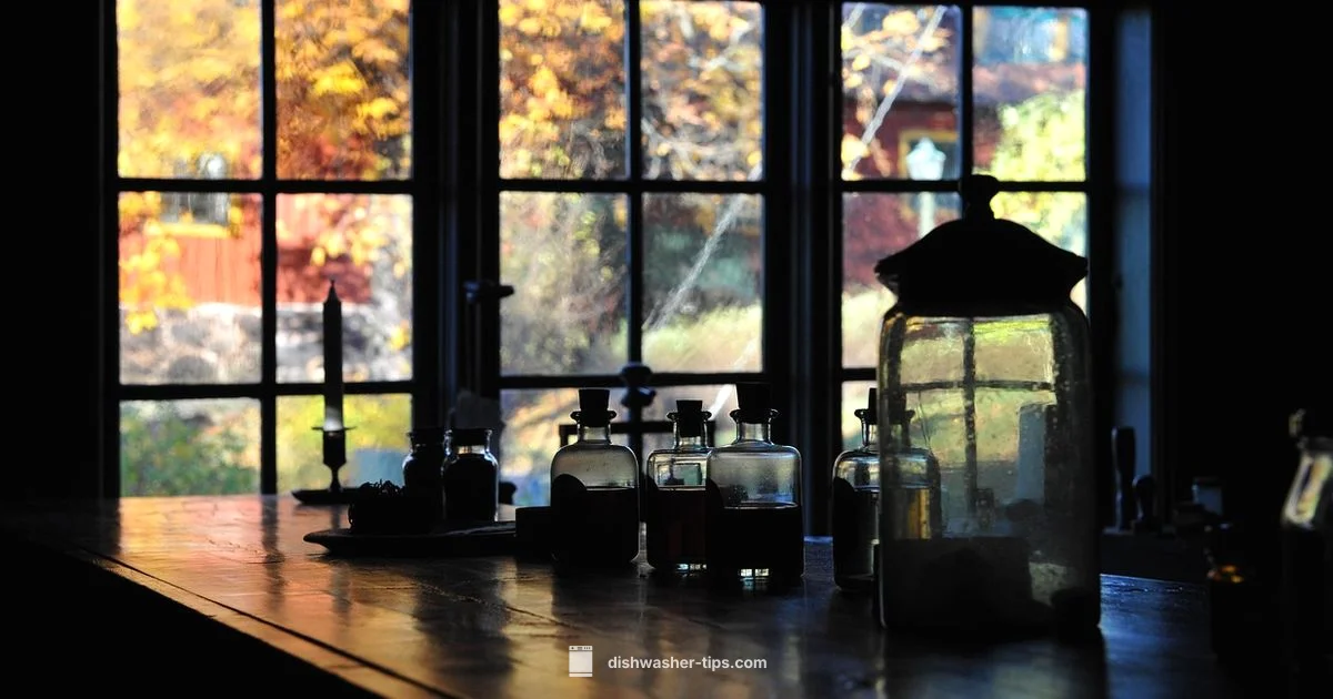 Bottle Dishwasher Guide - Dishwasher Tips