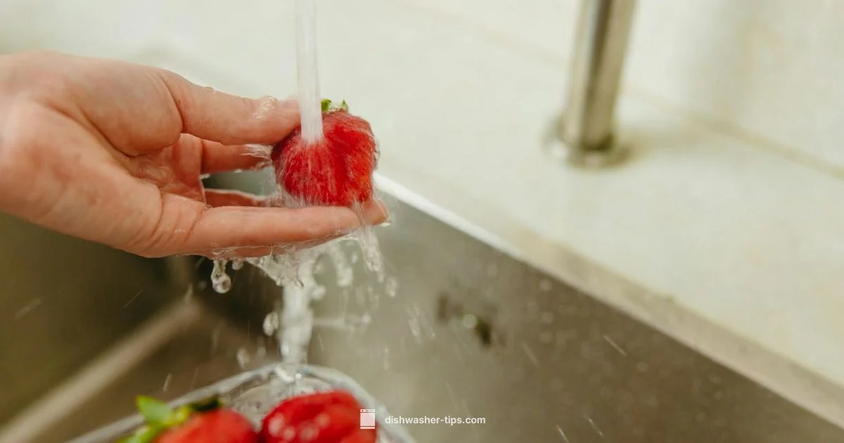 Rinse Aid Guide - Dishwasher Tips