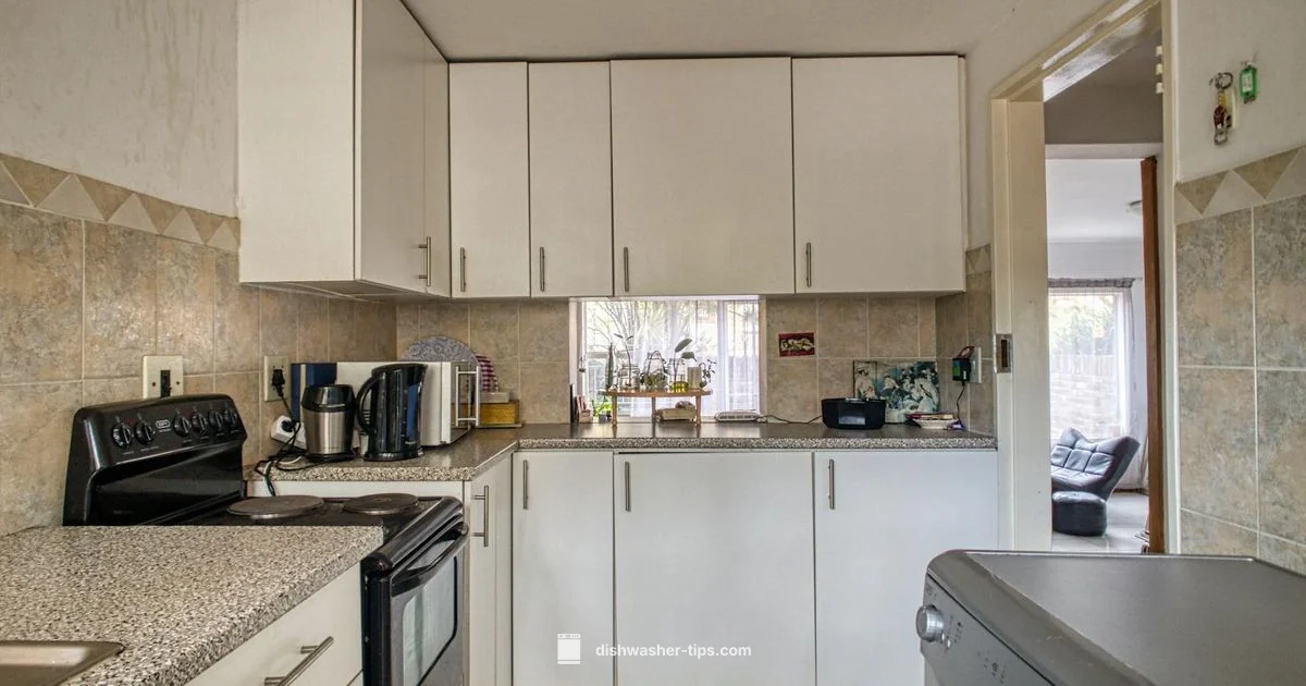 Best Liquid Detergent - Dishwasher Tips