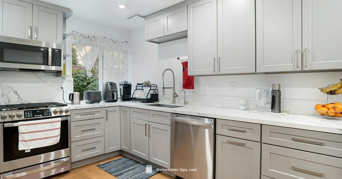 IFB Dishwasher Review - Dishwasher Tips