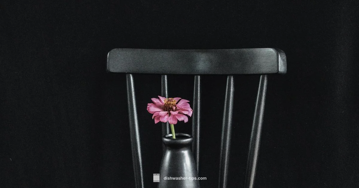 Sleek Black Finish - Dishwasher Tips