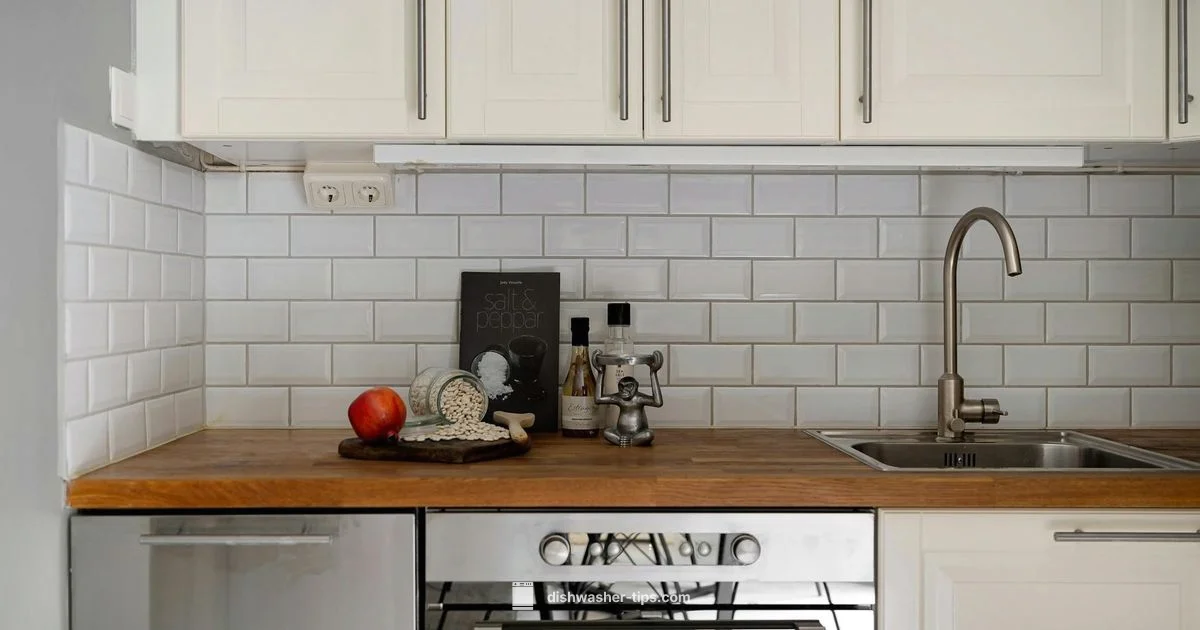 Non-Plumbed Dishwashers Explained - Dishwasher Tips