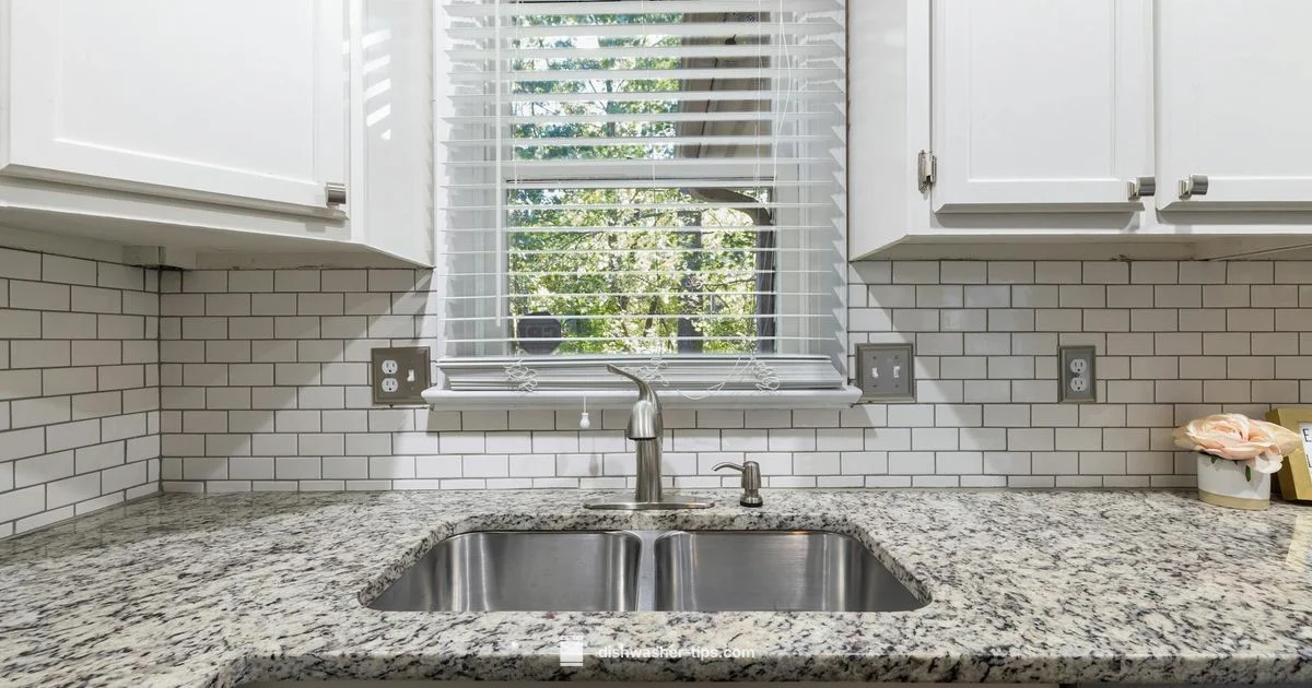 Dishwasher Sink Guide - Dishwasher Tips