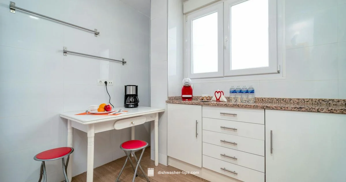 Bottle Dishwasher Guide - Dishwasher Tips