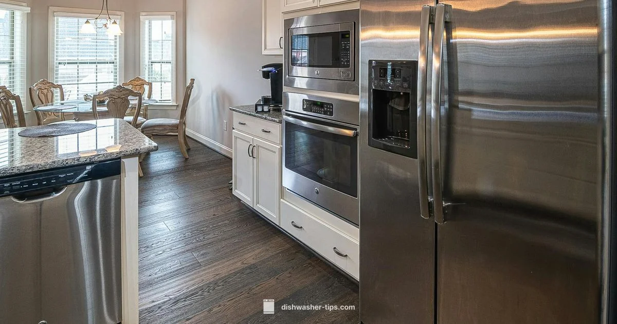 Drain Repair Guide - Dishwasher Tips