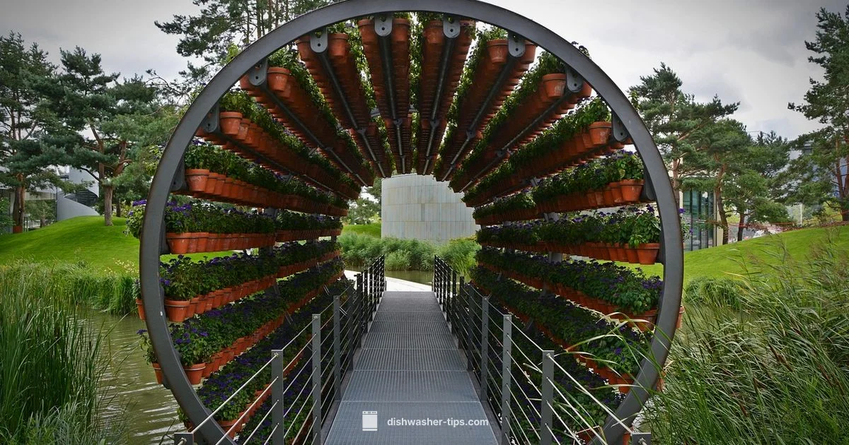 Egg Odor Fix - Dishwasher Tips