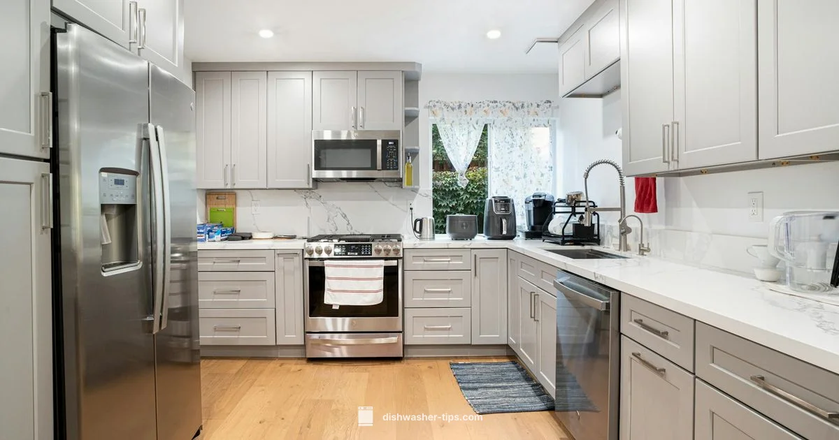 Two Drawer Design - Dishwasher Tips