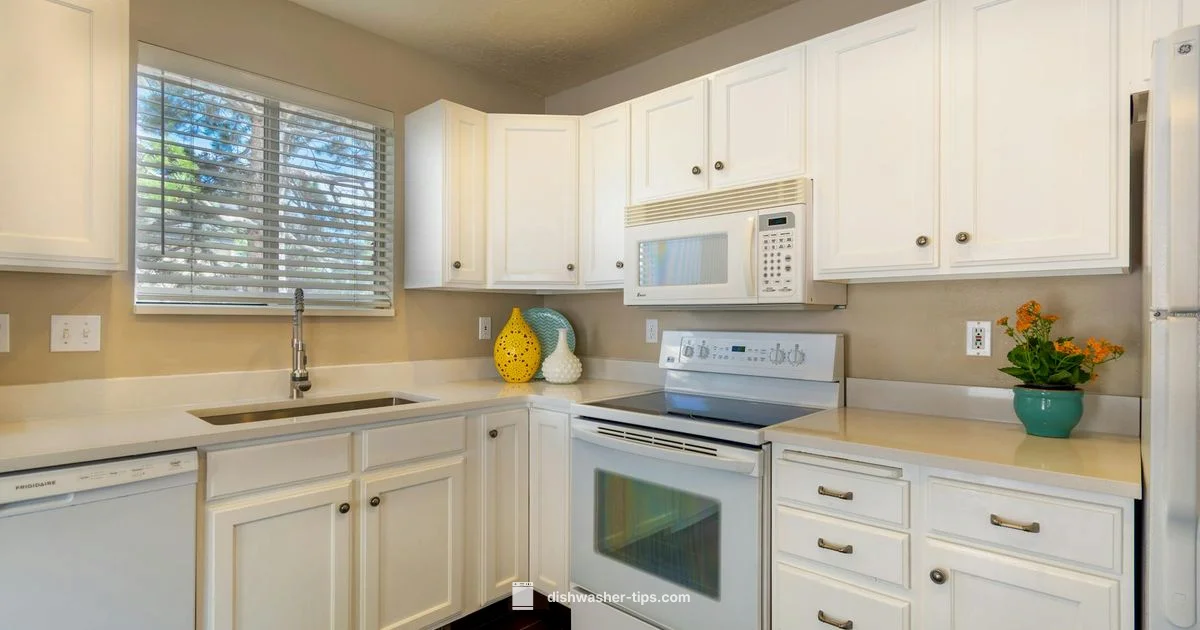 Bleach Cleaning Guide - Dishwasher Tips