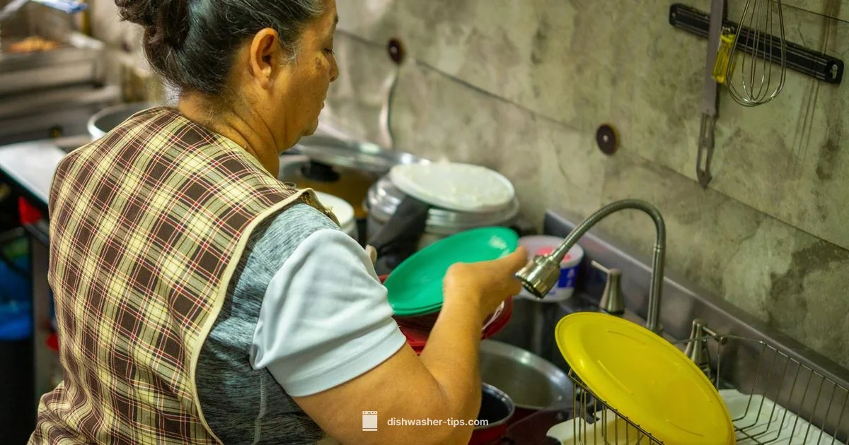 Maintenance Steps - Dishwasher Tips