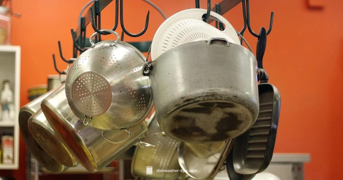 Restaurant Dishwasher Guide - Dishwasher Tips