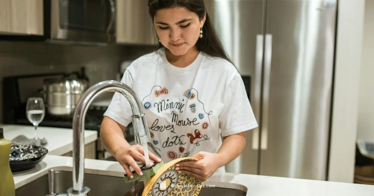 Inside Dishwasher - Dishwasher Tips