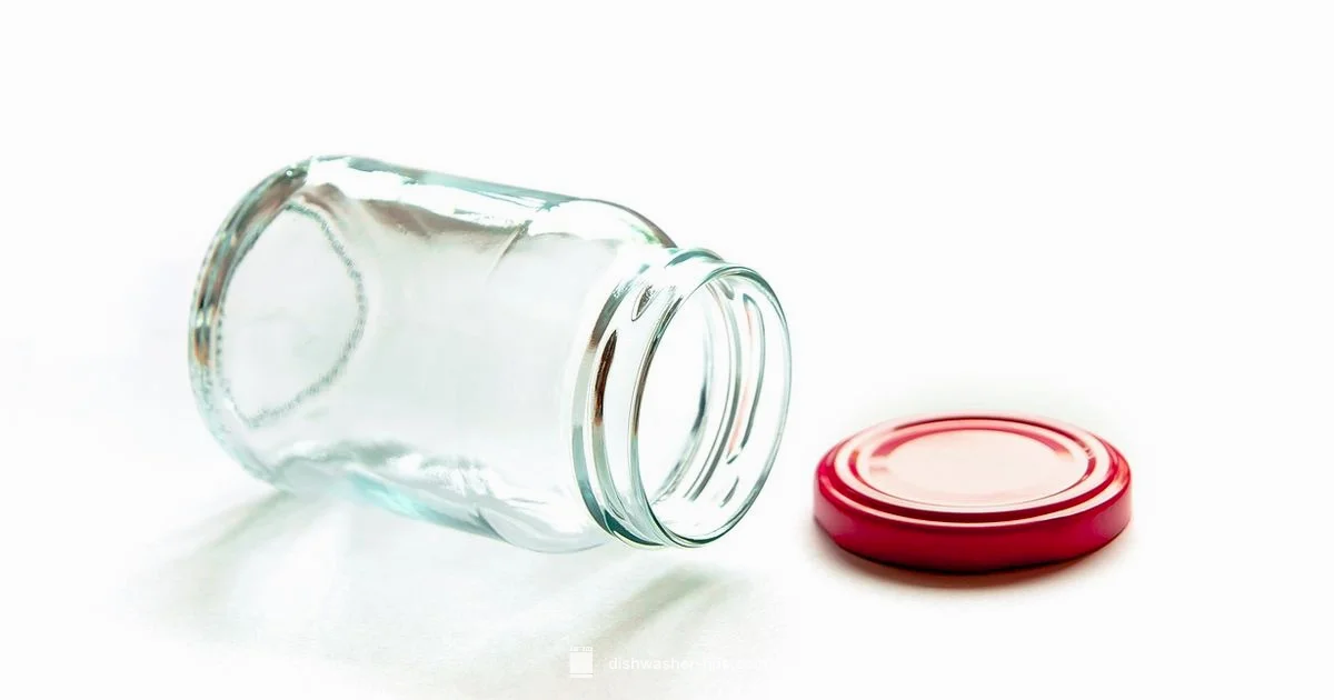 Glassware vs Dishes - Dishwasher Tips