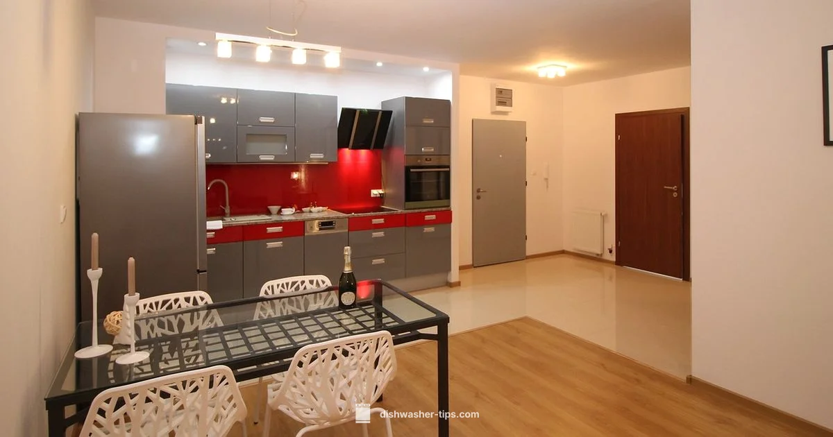 Compact Fits - Dishwasher Tips