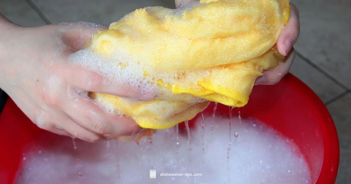 Clean Dishwasher - Dishwasher Tips