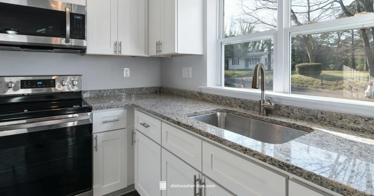 Bosch SHE3AR72UC Review - Dishwasher Tips