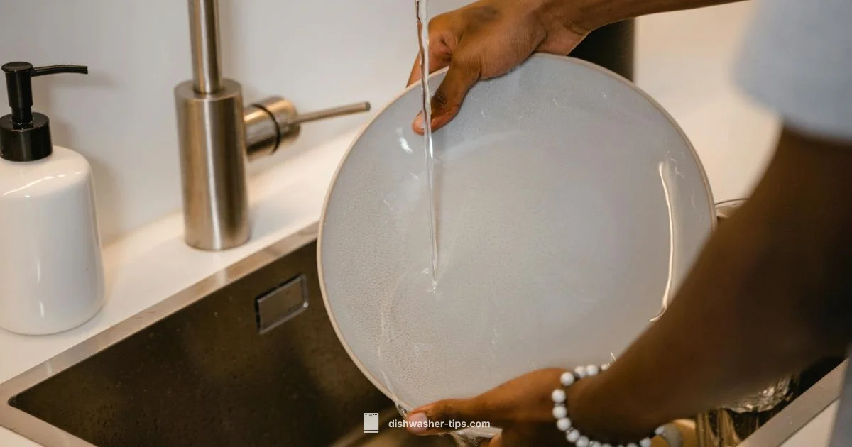 Dishwasher Removal - Dishwasher Tips