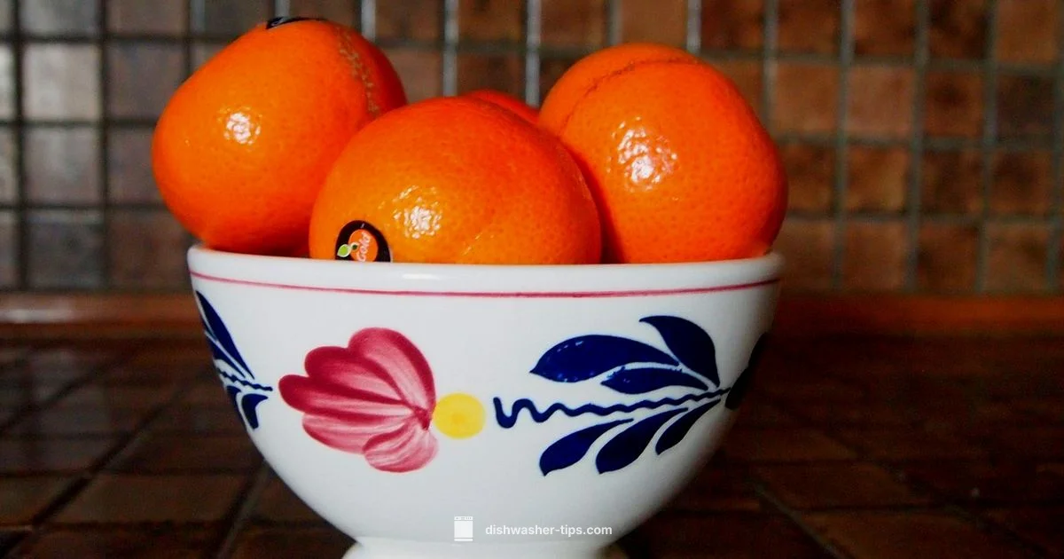 Dishwasher Location Guide - Dishwasher Tips