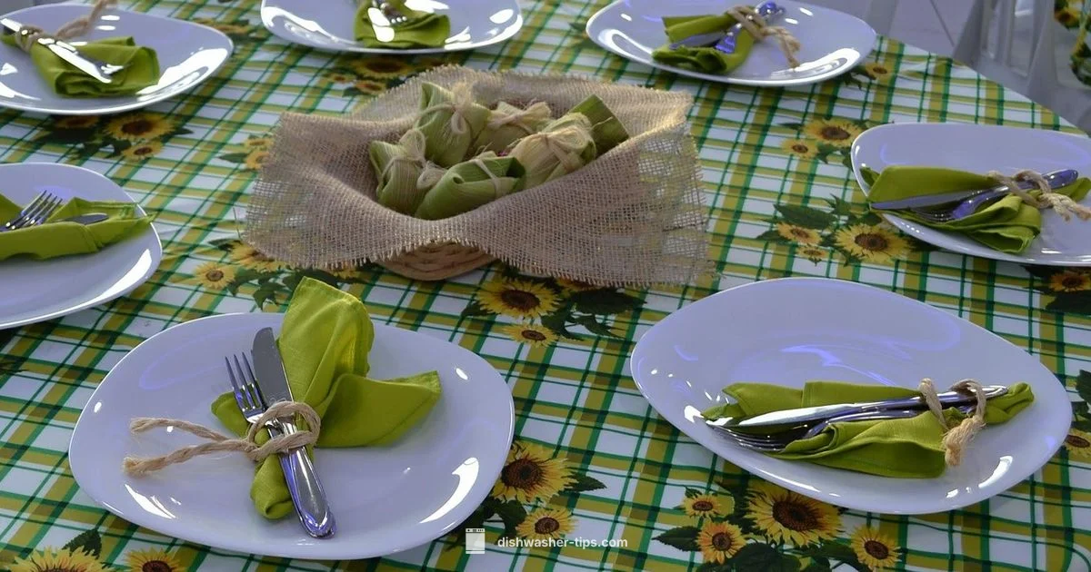 Hava Dishwasher Guide - Dishwasher Tips