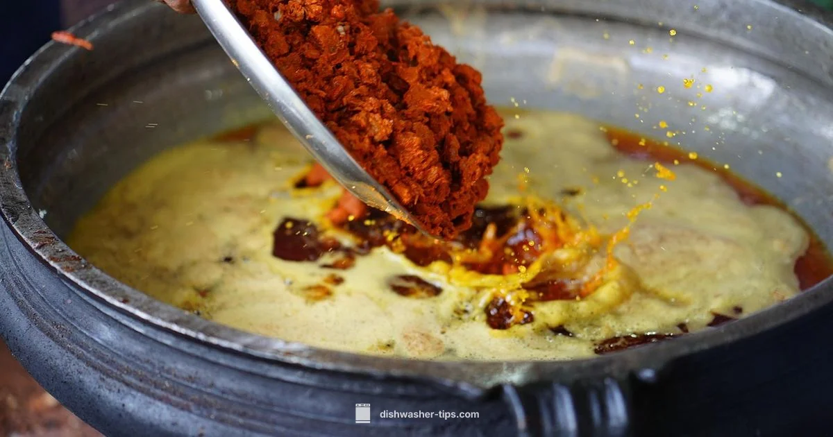 Dishwasher Options - Dishwasher Tips