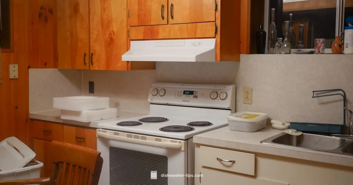 White Residue Fix - Dishwasher Tips