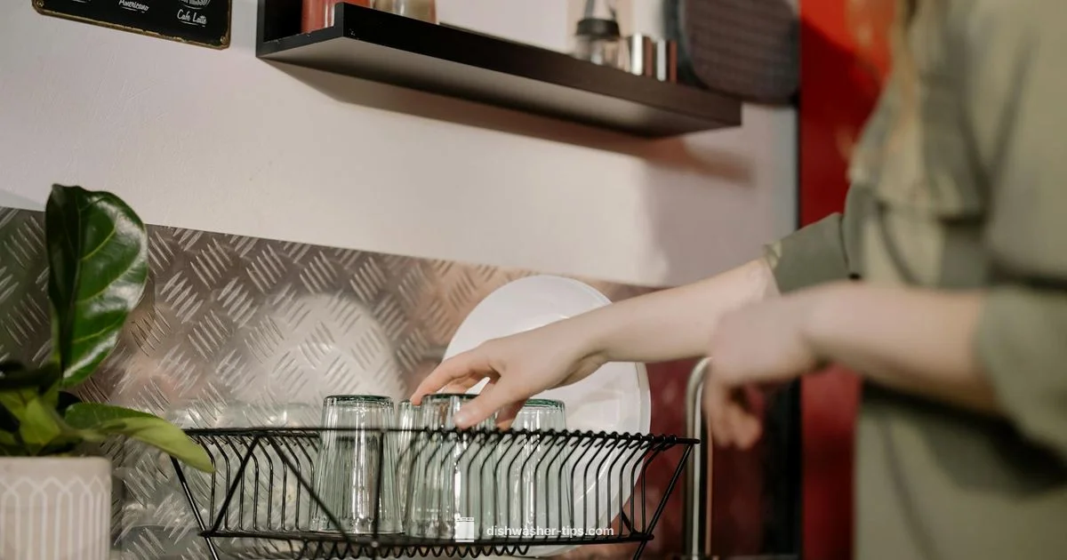 Placement Guide - Dishwasher Tips