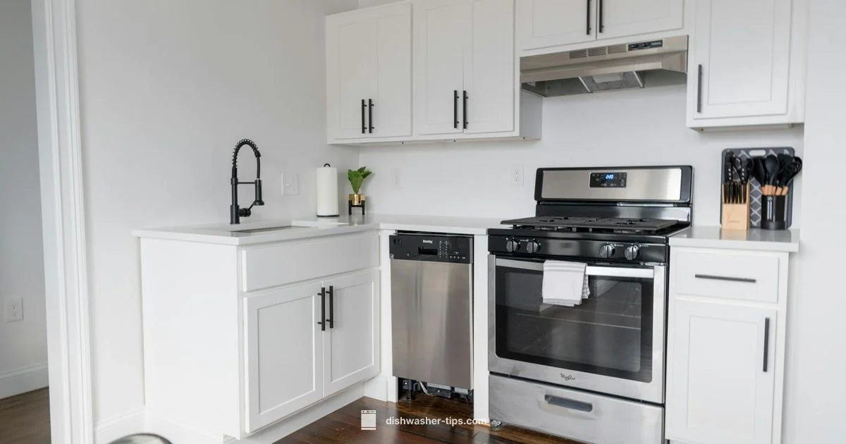 Dishwasher Fit Guide - Dishwasher Tips