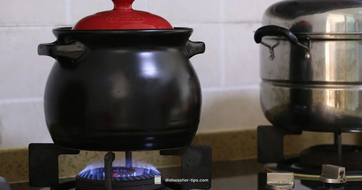 Daily Dishwasher Use - Dishwasher Tips