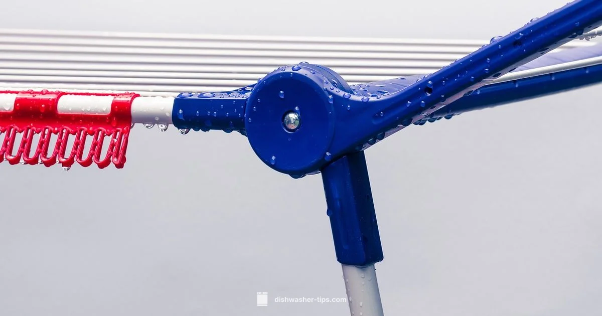 Bottle Sterilization Basics - Dishwasher Tips