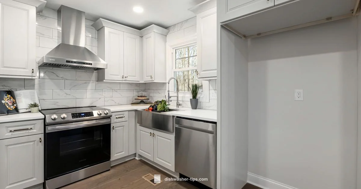 Rinse Aid Essentials - Dishwasher Tips