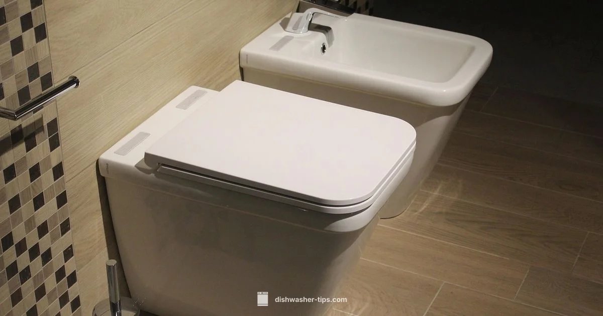 Toilet Cleaner Reality - Dishwasher Tips