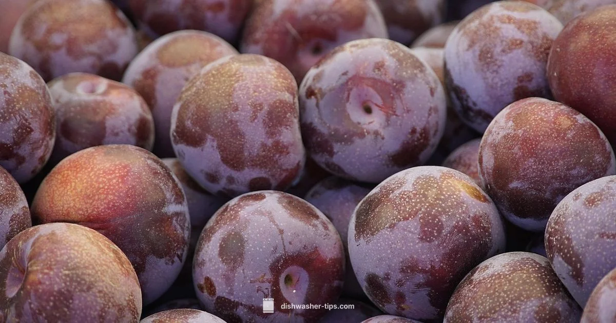 Dishwasher Cycle Timing - Dishwasher Tips