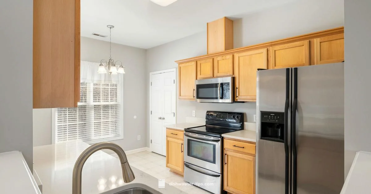 Two Drawer Dishwashers - Dishwasher Tips