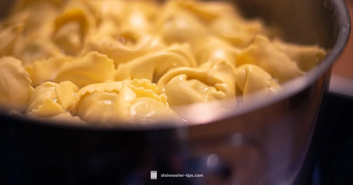 Dishwasher Price Guide - Dishwasher Tips