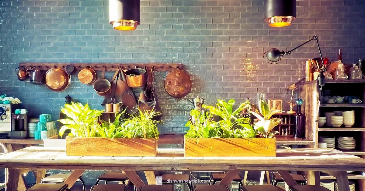 Dishwasher Cleaning - Dishwasher Tips